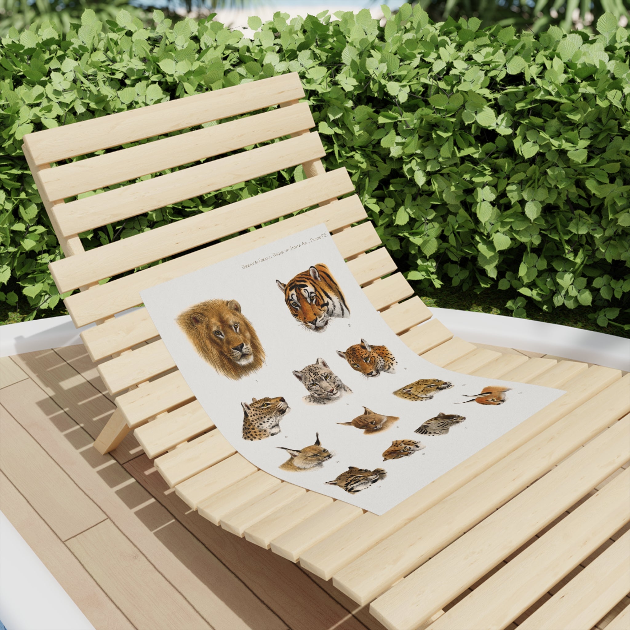 Big Cat Heads Beach Towel — Vintage Safari Lion, Tiger & Wildcat Illustration Beach Towel