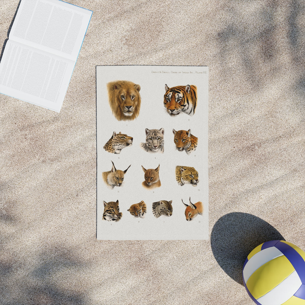 Big Cat Heads Beach Towel — Vintage Safari Lion, Tiger & Wildcat Illustration Beach Towel