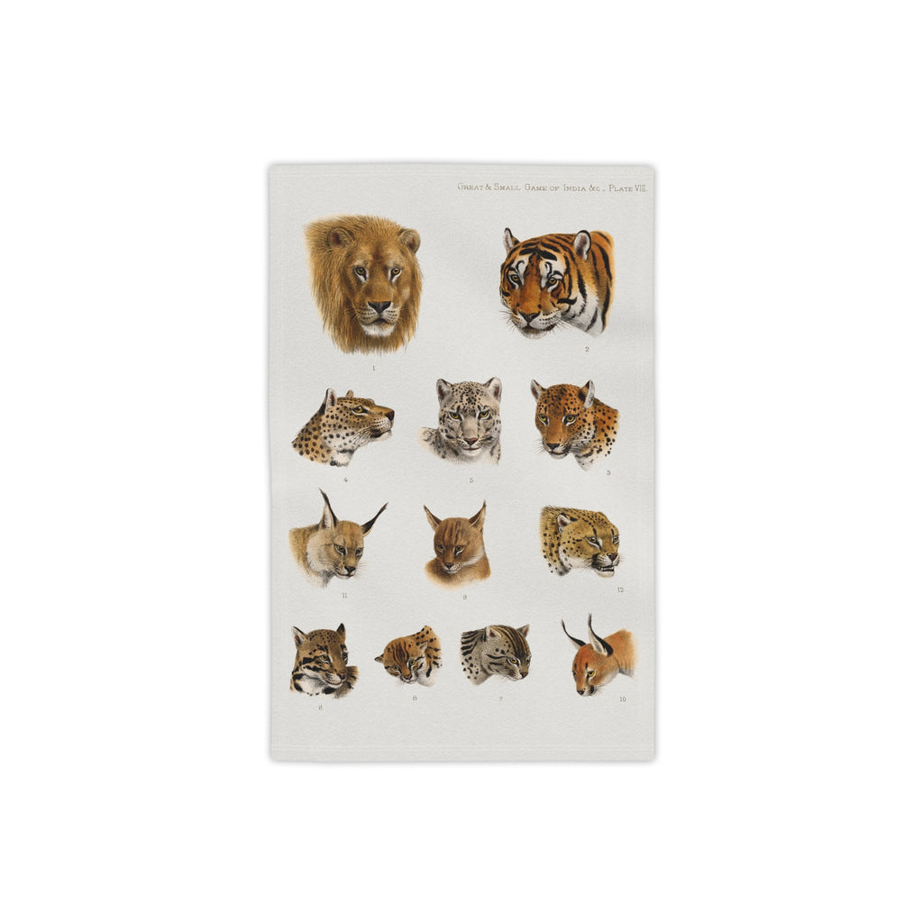 Big Cat Heads Beach Towel — Vintage Safari Lion, Tiger & Wildcat Illustration Beach Towel