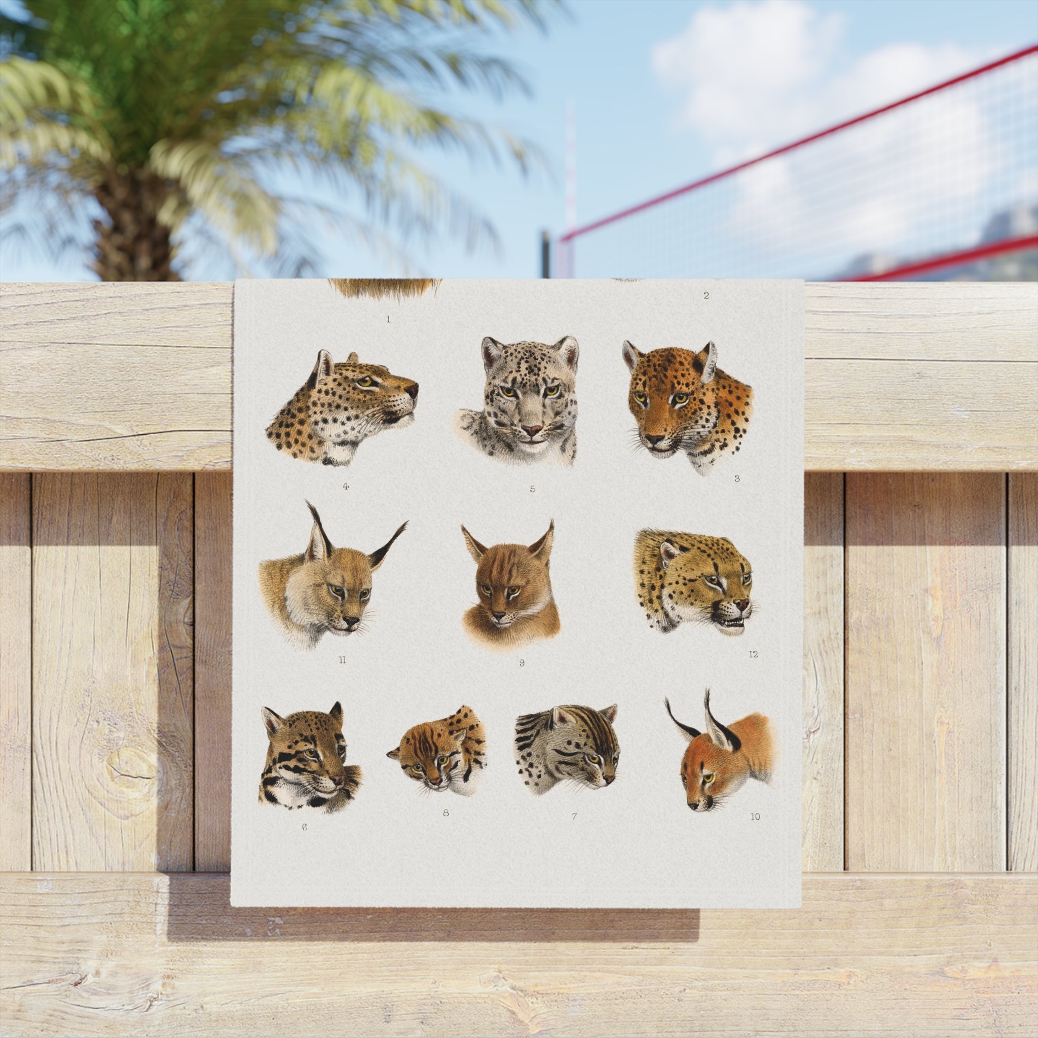 Big Cat Heads Beach Towel — Vintage Safari Lion, Tiger & Wildcat Illustration Beach Towel